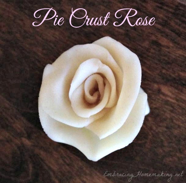Pie Crust Rose
