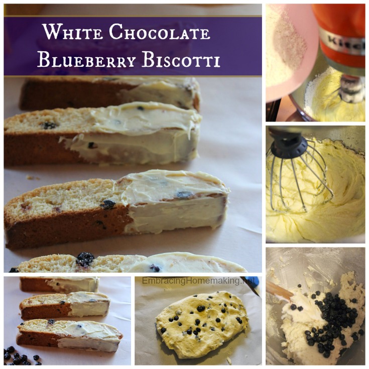 Blueberry Biscotti Recipe