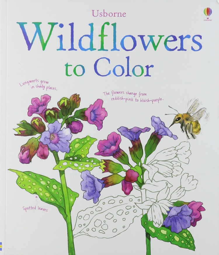 Wildflowers to Color Book