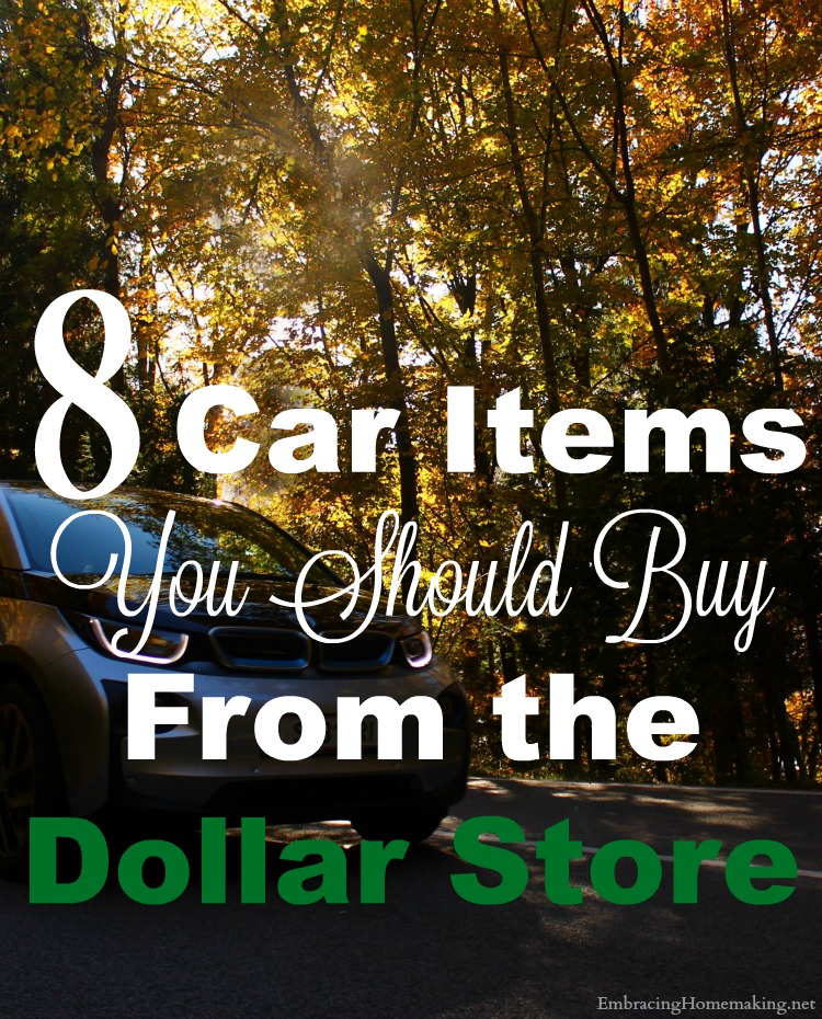 Car Care Items from The Dollar Store