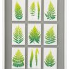 Ikea Greenery Picture
