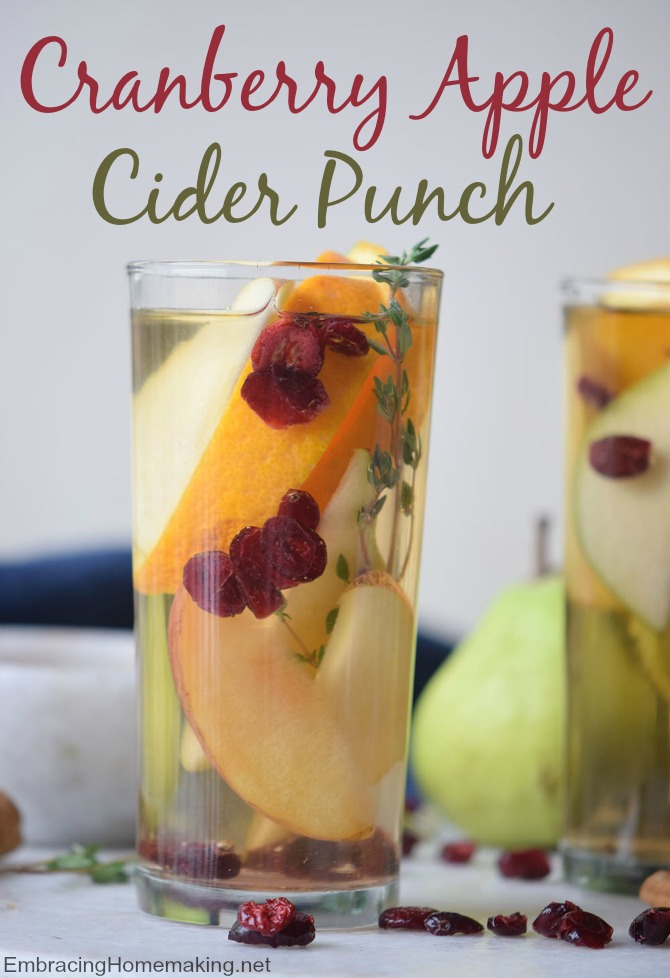 Cranberry Apple Cider Punch