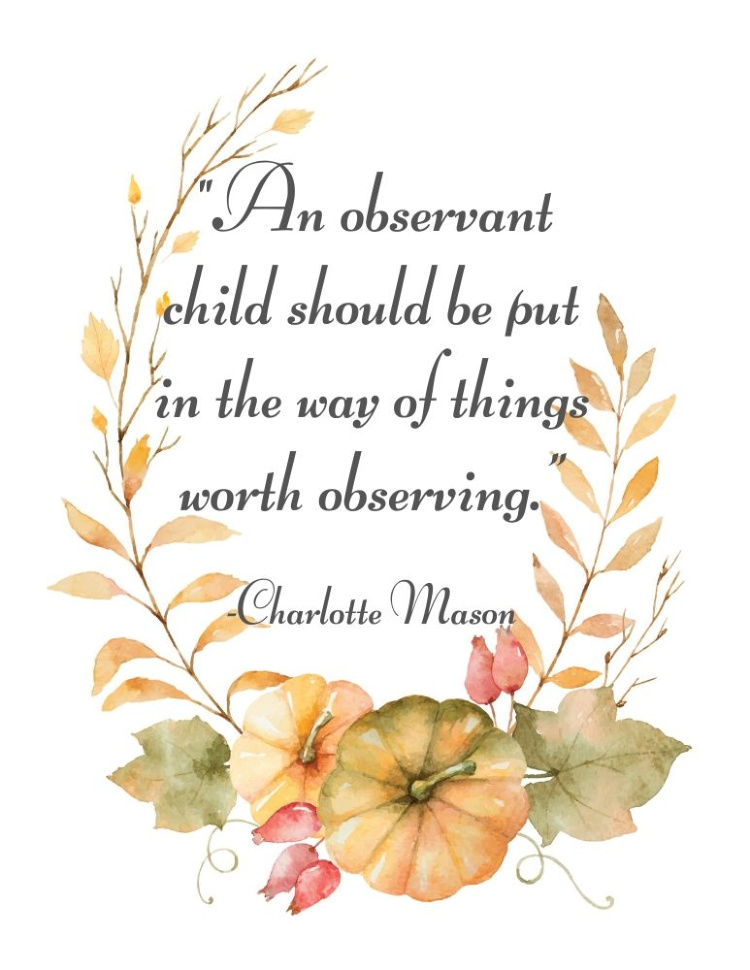 An Observant Child Charlotte Mason Quote