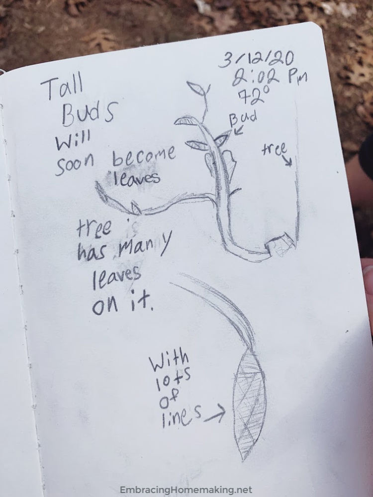 Nature Journal